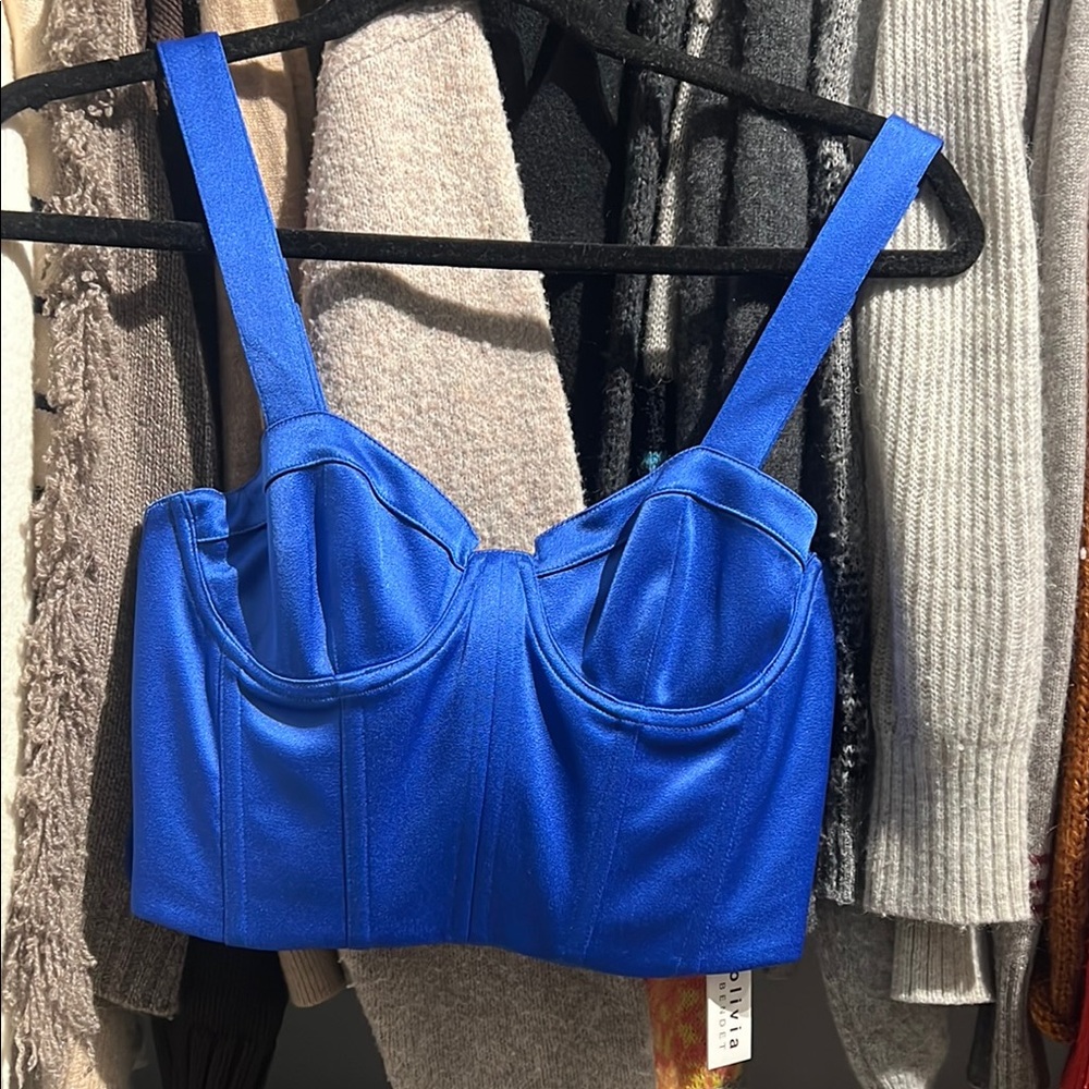 Blue Satin Bustier Top